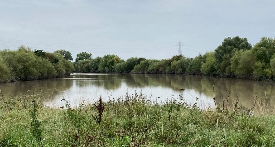 Alney Island Nature Reserve